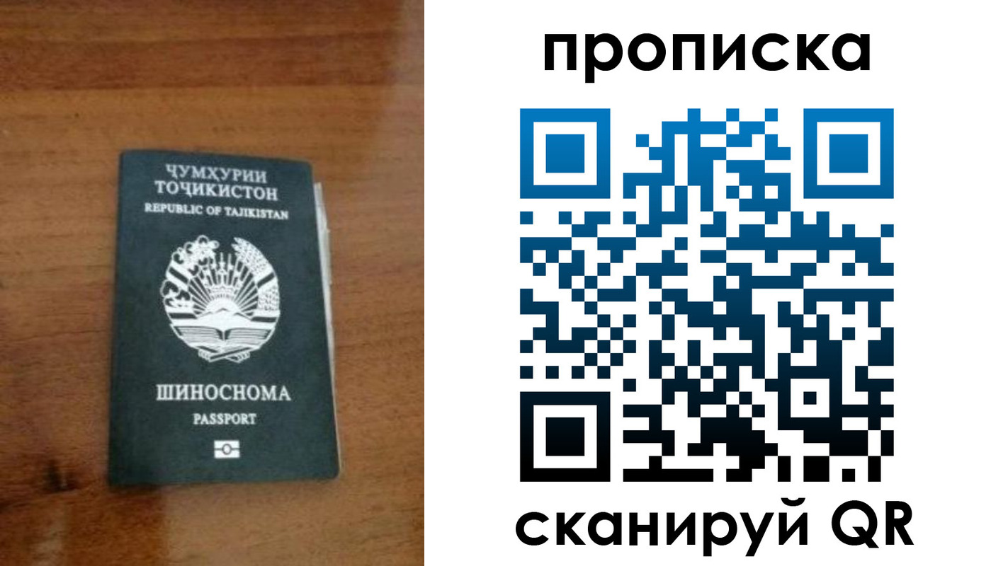 прописка законно в Курчалом
